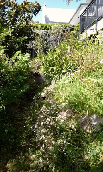Wellington Gardeners R&M Maskell Ltd
