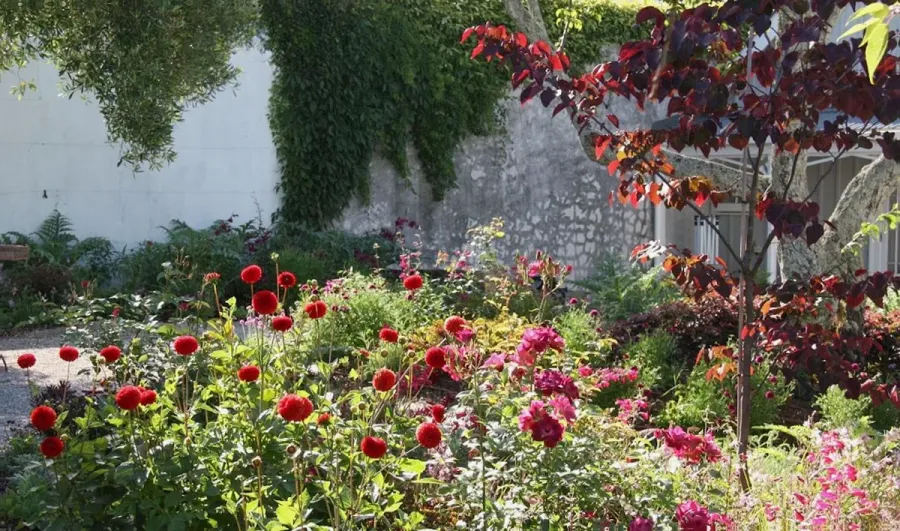 Wild about Weeds garden services