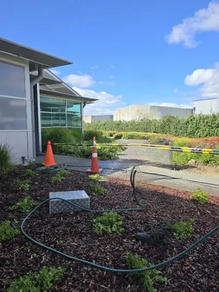 Holland Landscaping & Garden Services