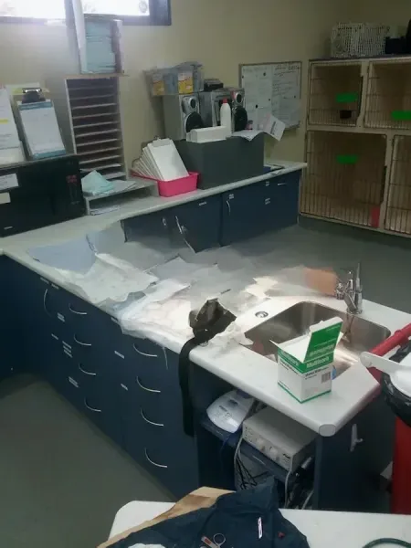Tararua Veterinary Services