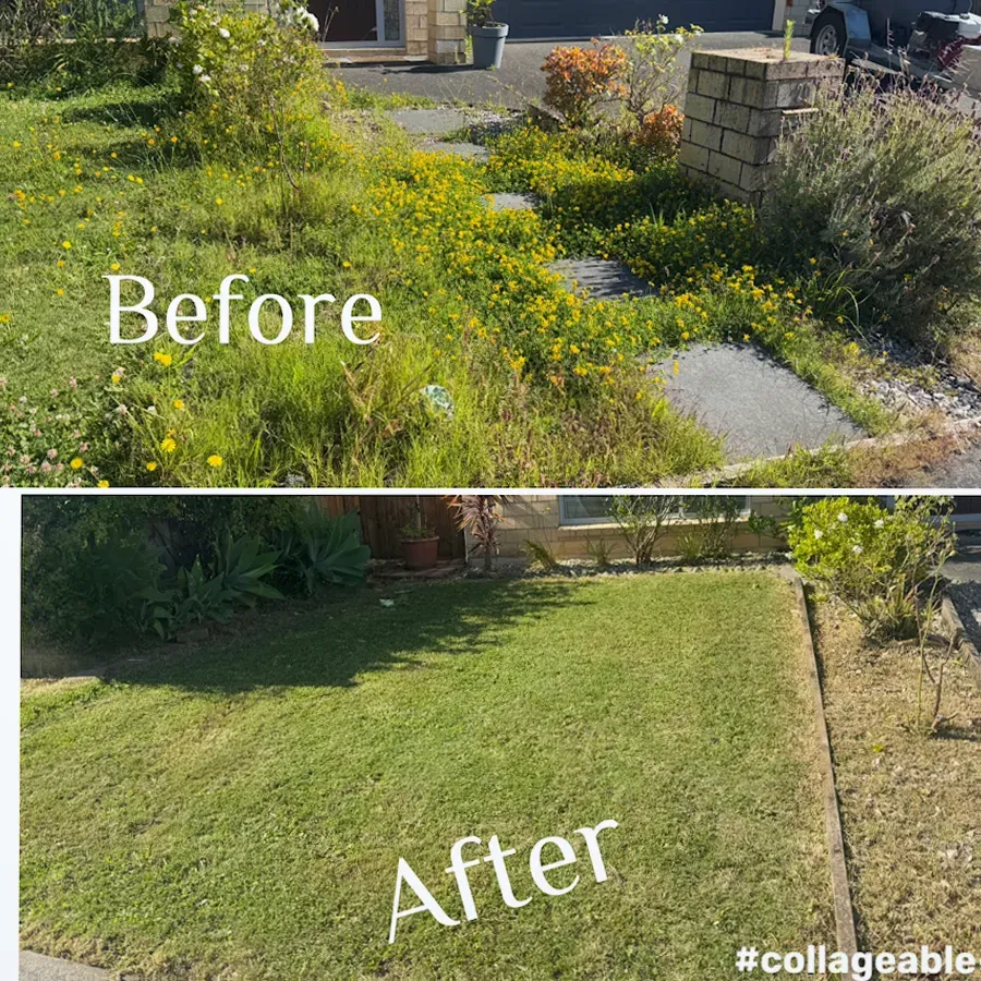 Nature Lawn Services ltd