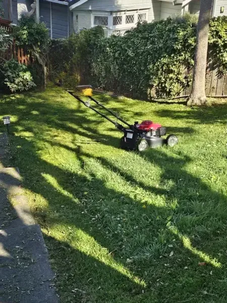 Mow Zone Lawn Mowing Wellington
