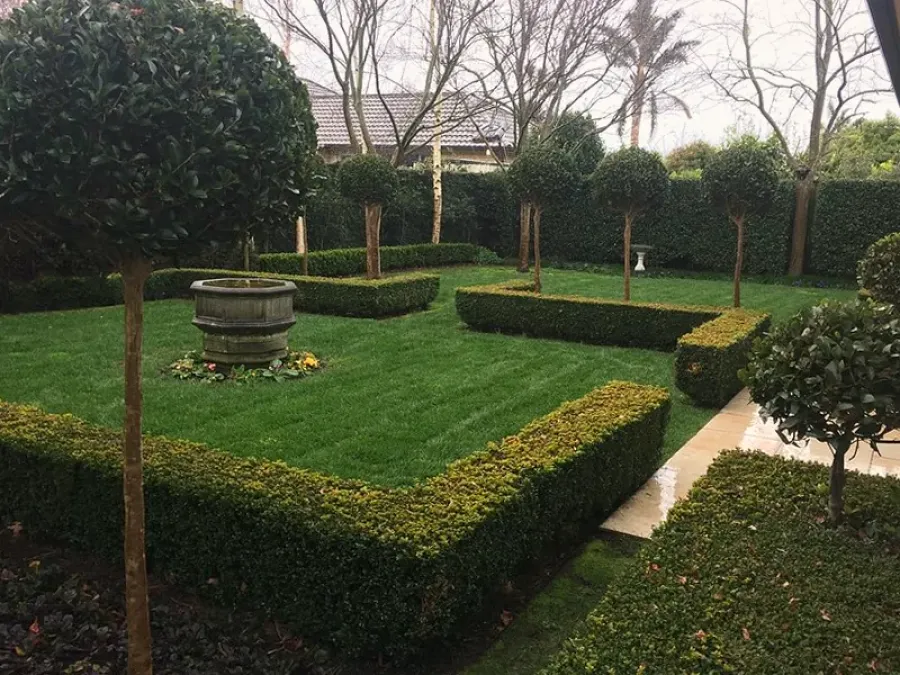 Premium Lawns Papakura