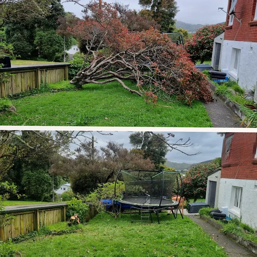 RNH Lawn Care and Services