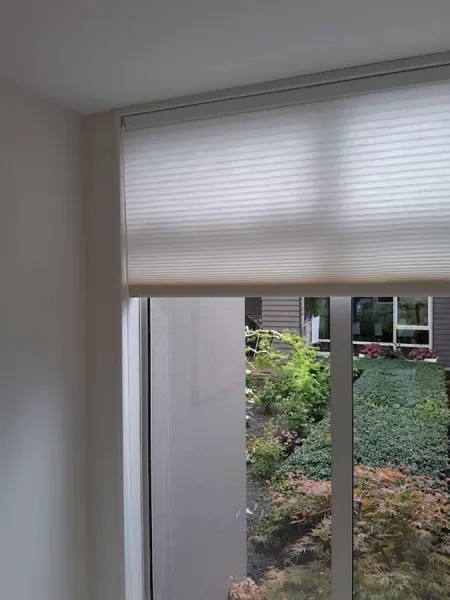 All Blinds Cleaned