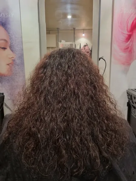 The Salon On Princes