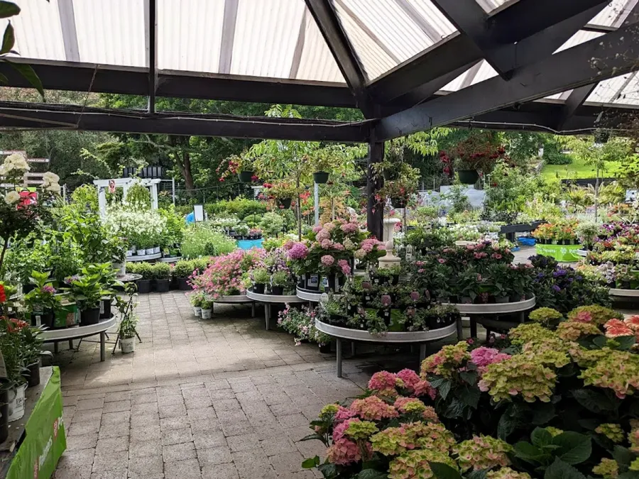 Palmers Remuera