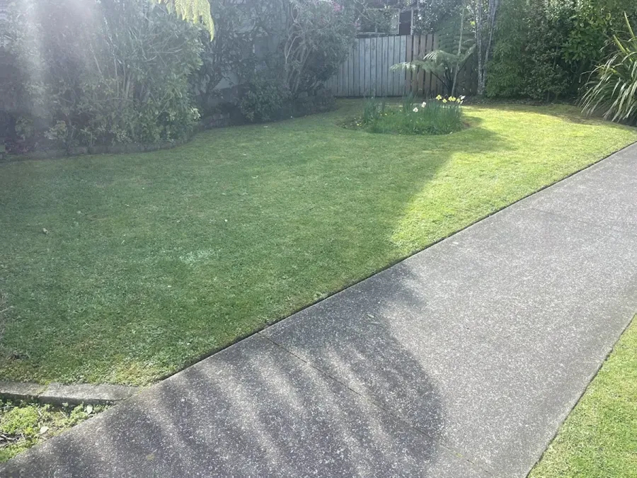 Pasturesnz