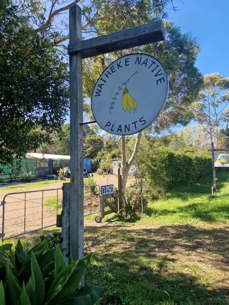 Waiheke Native Plants