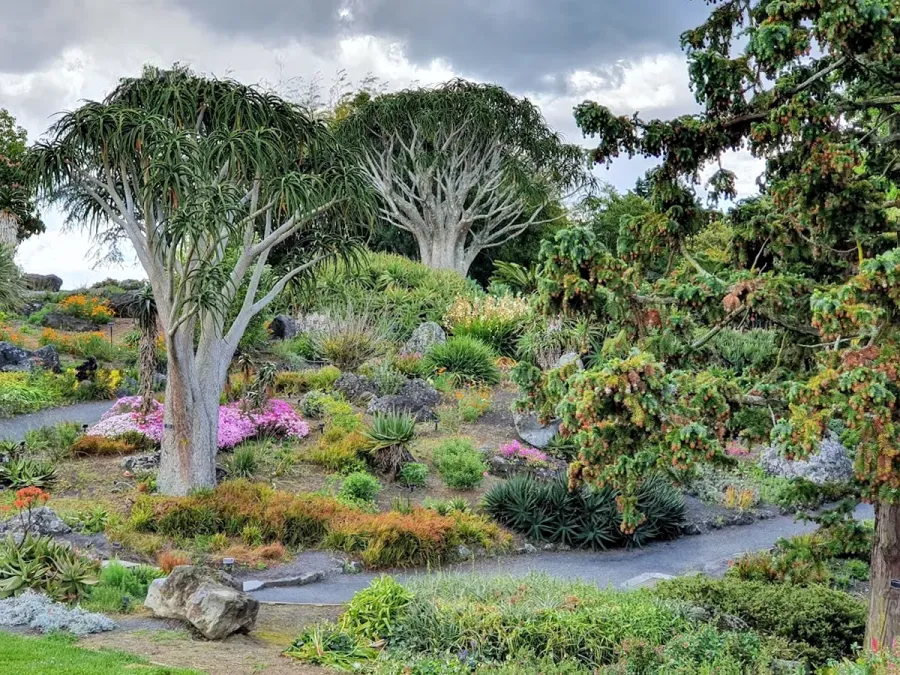 Auckland Botanic Gardens