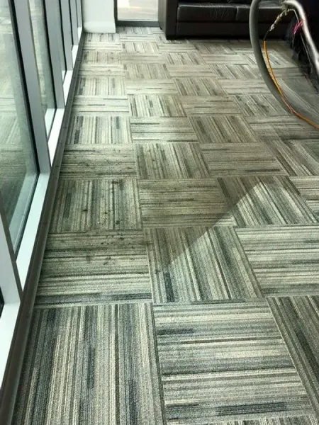 Total Carpet Services Southland & Invercargill