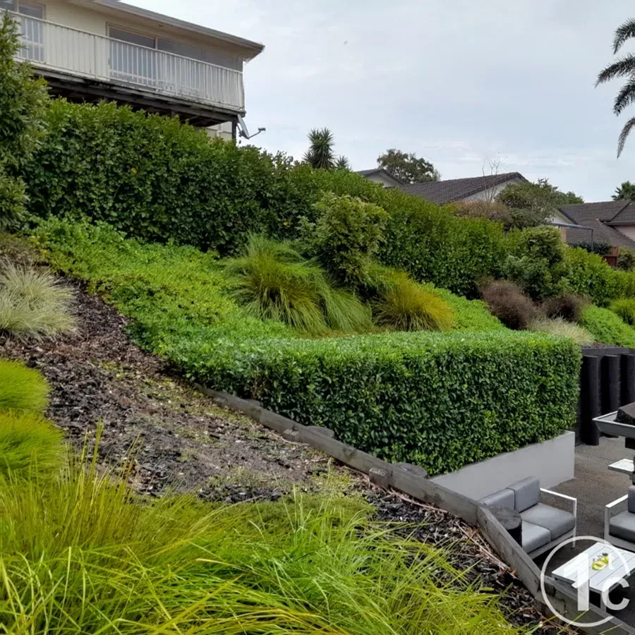1st Class Gardens Ltd