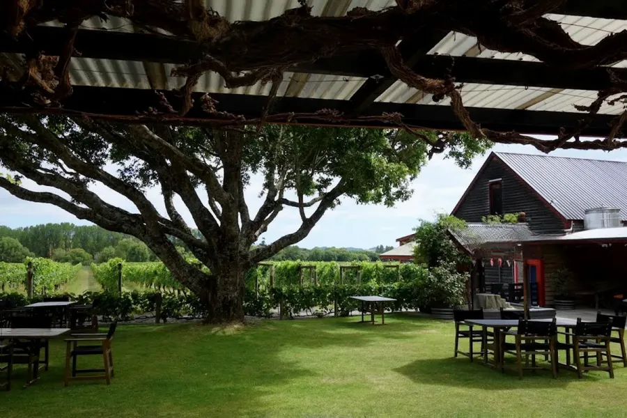 Neudorf Vineyards