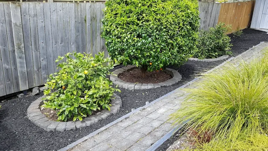 Precision Lawns & Gardens