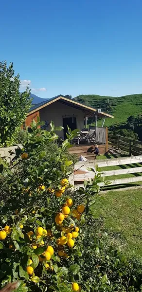 Country Retreat Glamping