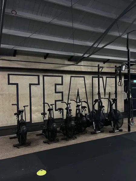 Team Taurus | Fitness Club