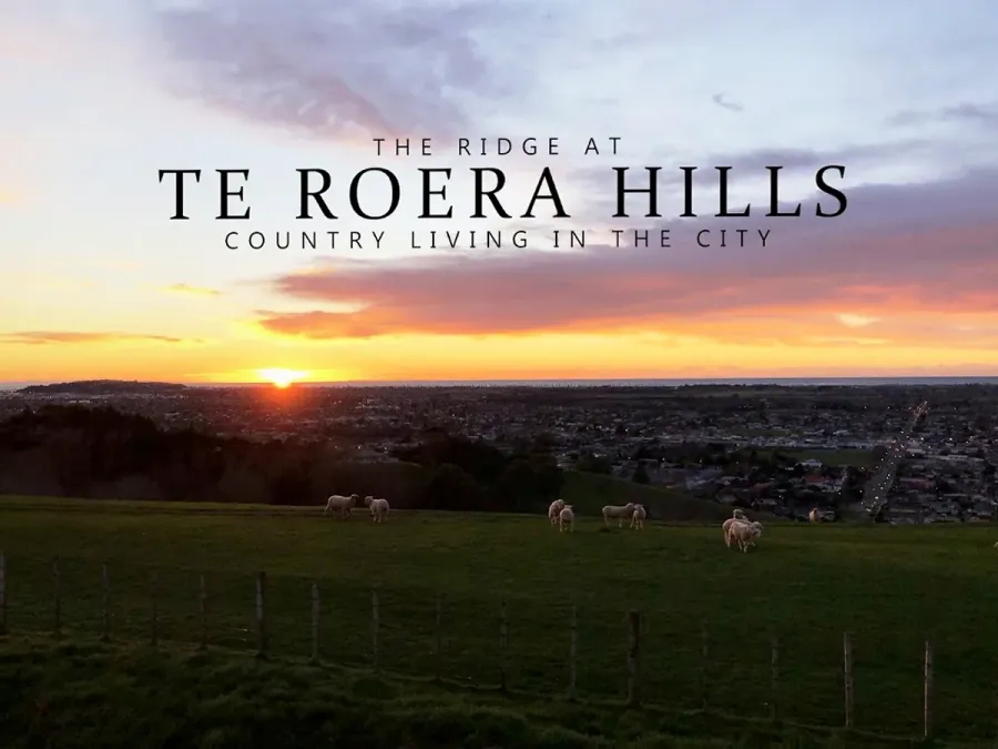 Te Roera Hills