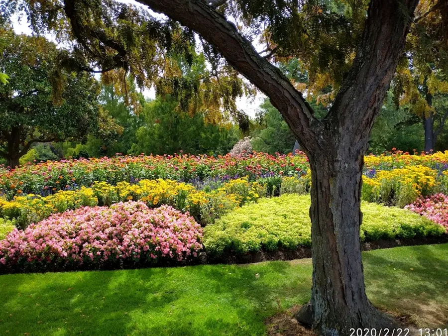 Pollard Park