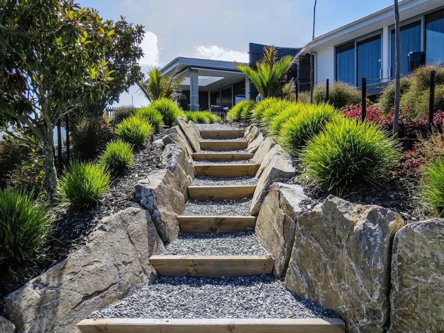 New Vision Landscapes