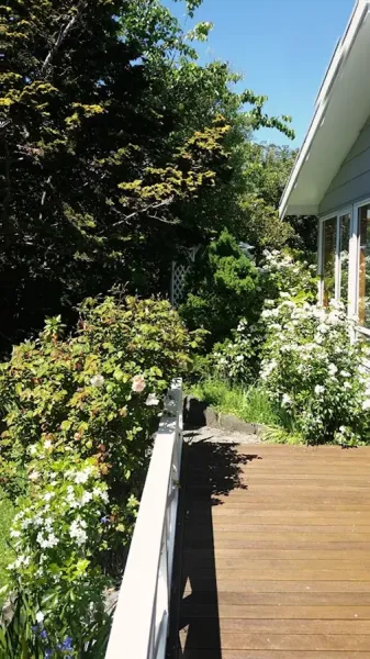 Coastal Home Improvements