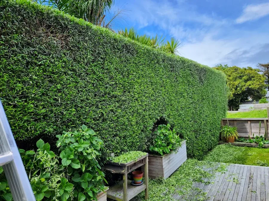 Complete Garden Solutions