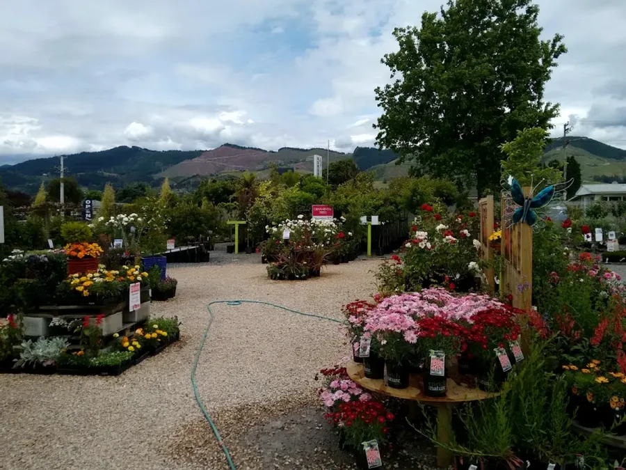 Place for Plants