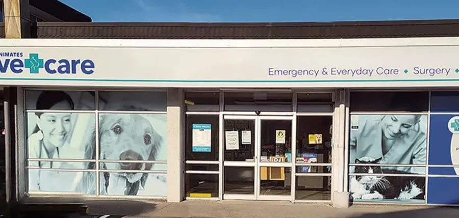 Animates Vetcare Clinic Paraparaumu