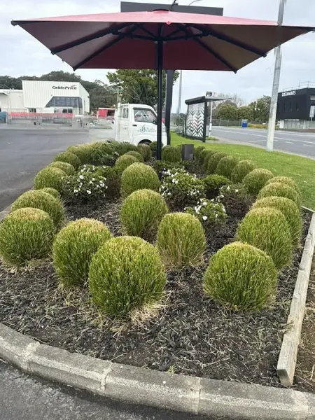 Paradise Gardenz NZ