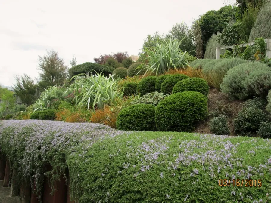 Spruce Up Lawn & Gardens