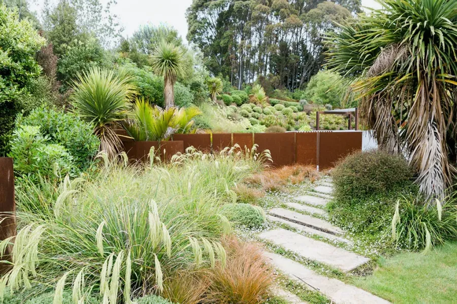 Meadow Landscape Architecture