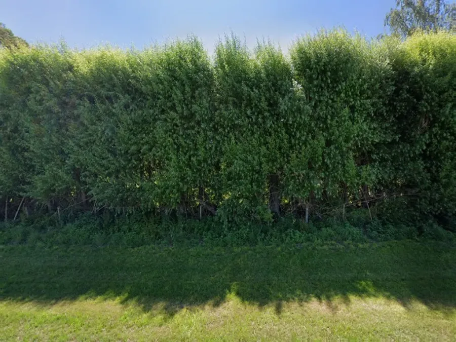 Farmstay near airport with free animal feed
