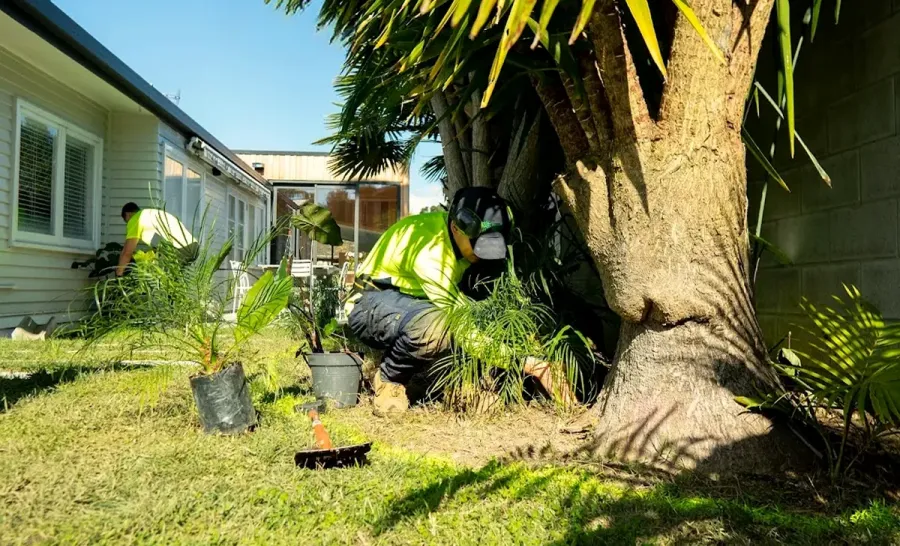 Visionary Outdoor Solutions Ltd.