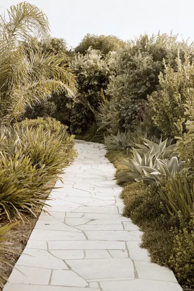 Meadow Landscape Architects