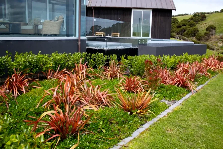 Shape Landscaping