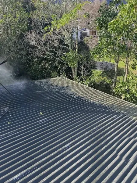 Coromandel Window Cleaning