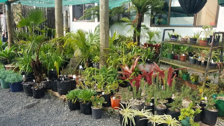 The Landscape Yard