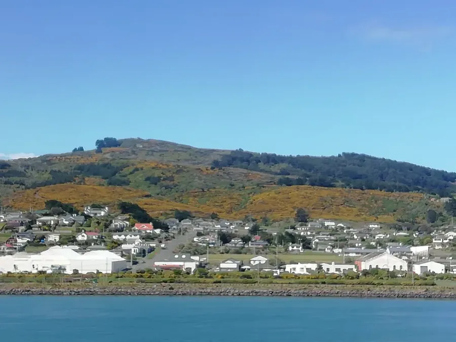 Bluff Port Vista