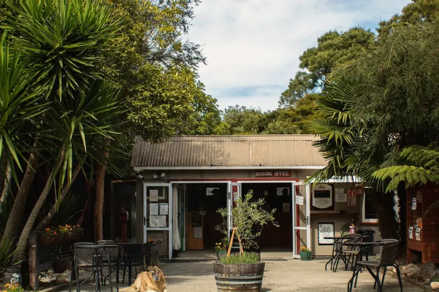 NZ Nurseries