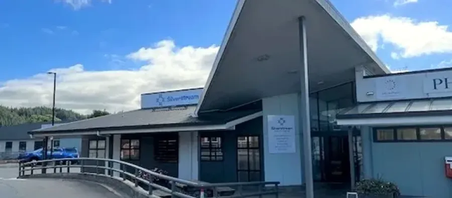 The Doctors Silverstream