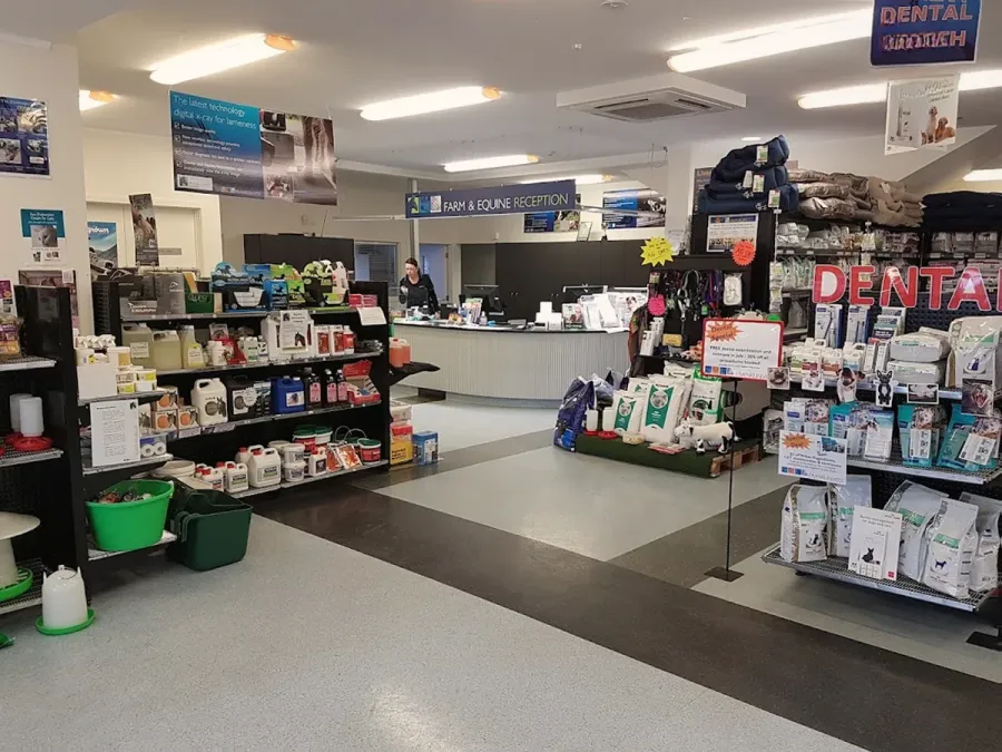 Franklin Vets Pukekohe