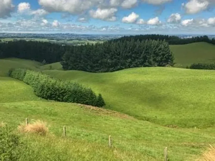 Southland Organic Farmstay