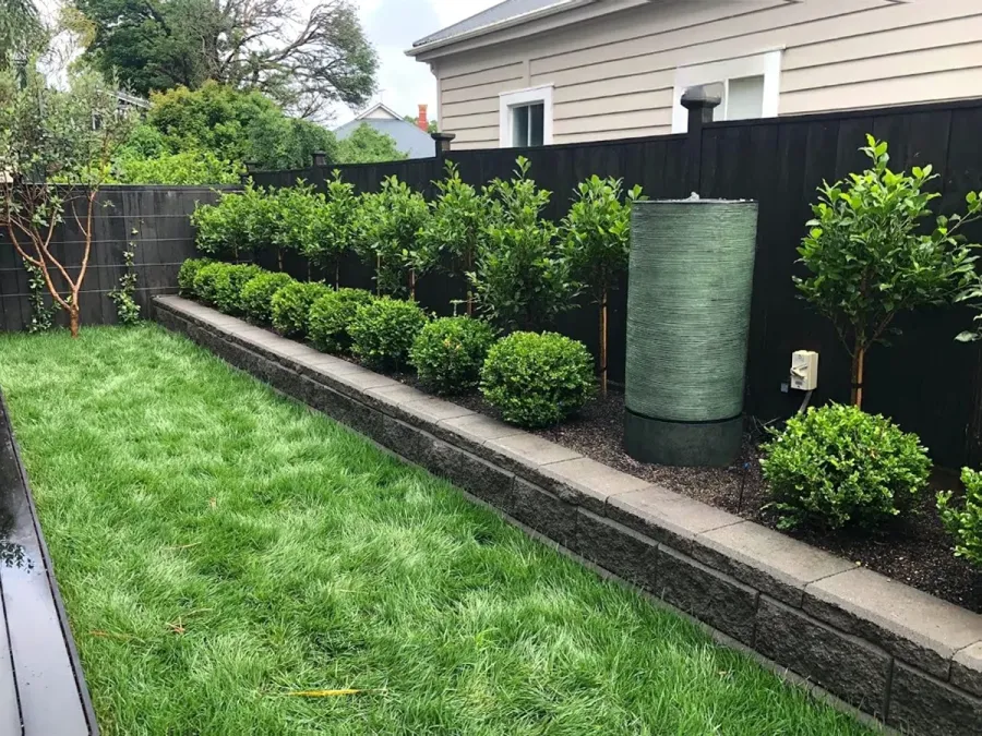 Underground Gardening
