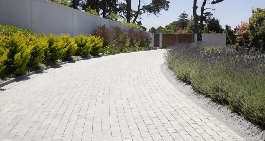 Zones Landscaping Specialists Auckland Central - Monique Nielsen
