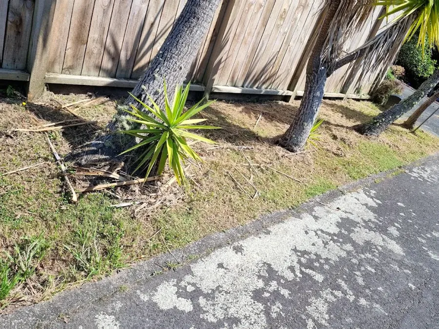 TLR Landscaping