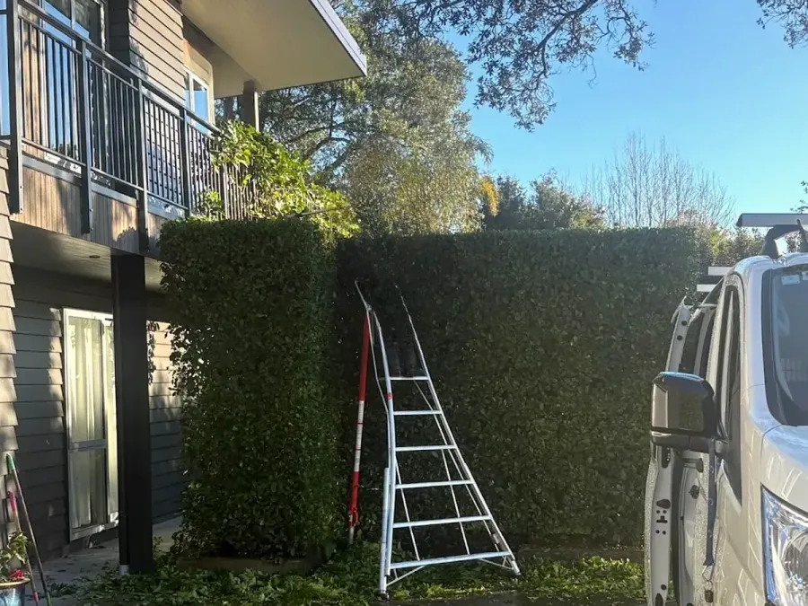 Hedge & Garden Co