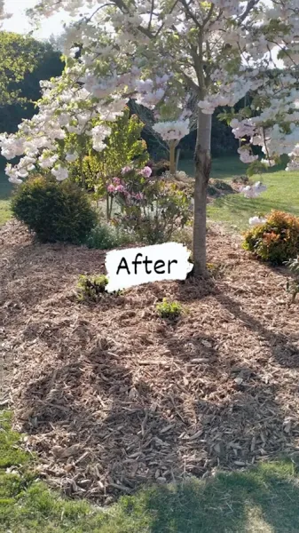 TSR Garden Services Ltd