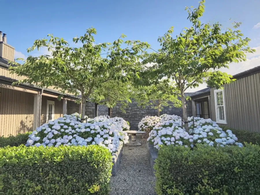 Southern Bloom