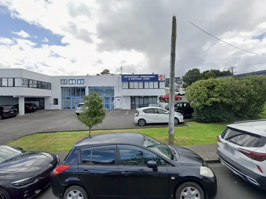 Bayvet Veterinary Clinic