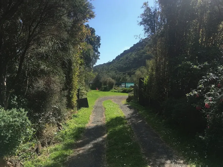 New Zealand Native Concepts plant nursery, landscaping