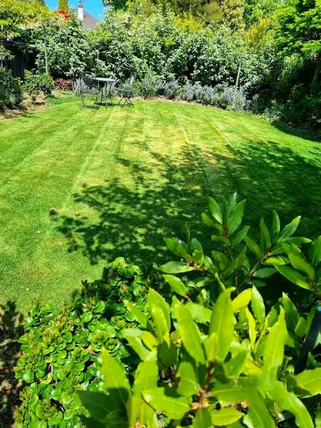 Ben's Yard Service